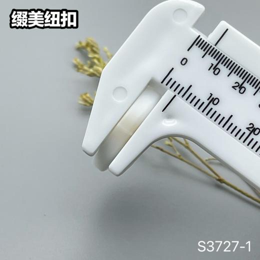 S3727-1(整包购买) 商品图9