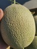 新疆西州蜜25号哈密瓜 /新疆冰淇淋蜜瓜 顺丰空运 商品缩略图3