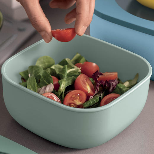 利快保鲜饭盒意大利原装进口食品级炫彩厨房食品果蔬密封收纳盒 商品图4