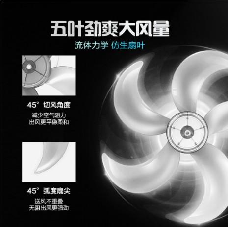 艾美特（Airmate）室内通风五叶落地扇/节能低噪风扇/立式家用定时电风扇 FSW65T2-5 商品图2