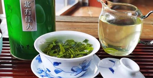 【茶馆茶叶】新茶预售！！【北方佳人】甄选白毫青茶 | 100°水泡叶底绿 满满的豌豆香 不苦不涩 叶底完整 茶汤绿且透亮 商品图2