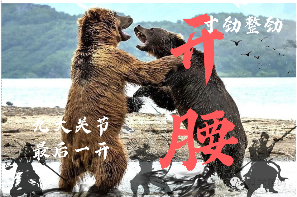 【新课五折】开腰，九大关节最后一开，整劲寸劲周身劲九大关节合一