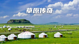 【合同】2021夏令营草原传奇