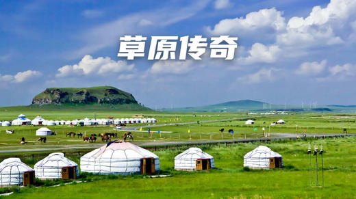 【合同】2021夏令营草原传奇 商品图0