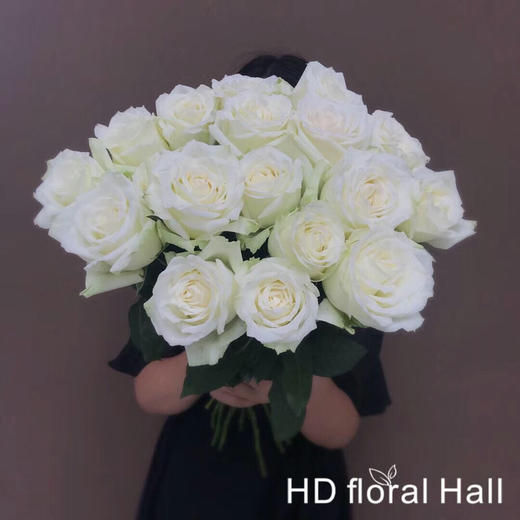 玫瑰 坦尼克 B级 商品图1