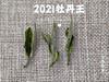 2021牡丹王，最接近白毫银针的白茶（1斤收藏装） 商品缩略图4