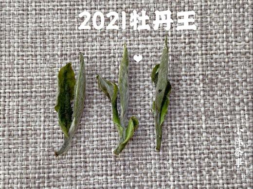 2021牡丹王，最接近白毫银针的白茶（1斤收藏装） 商品图4