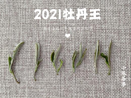 2021牡丹王，最接近白毫银针的白茶（1斤收藏装） 商品图3