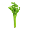 【生鲜预定】西芹1kg 商品缩略图0