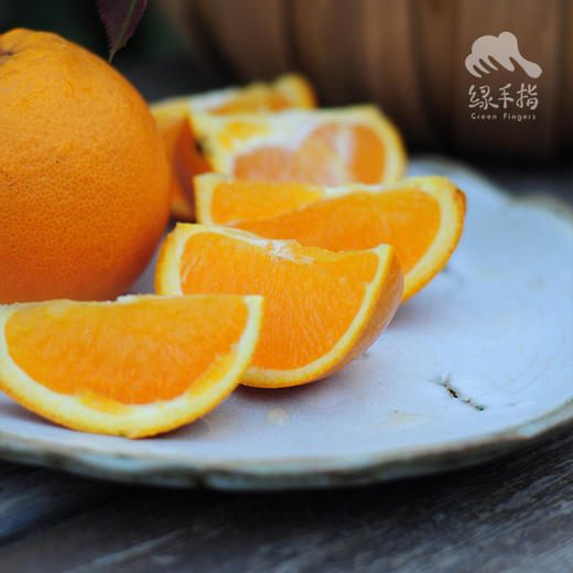 生态伦晚橙 | 合作生产 *Eco-Aaron Later Orange | Coproduction 商品图0