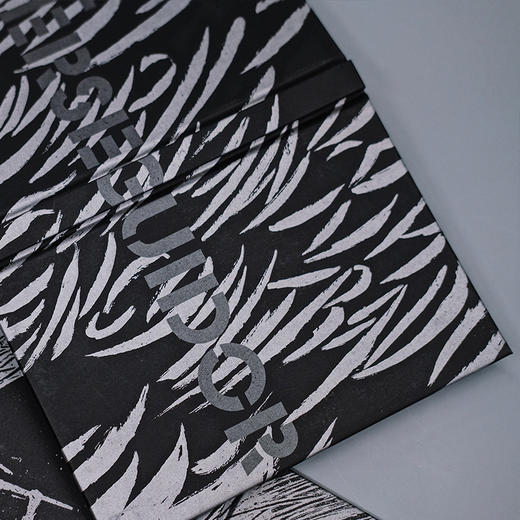 追求者 科塔萨尔作品系列插图珍藏精装版版 以查理帕克为原形讲述了一个艺术家生命中最后的一段时光3000867 商品图4