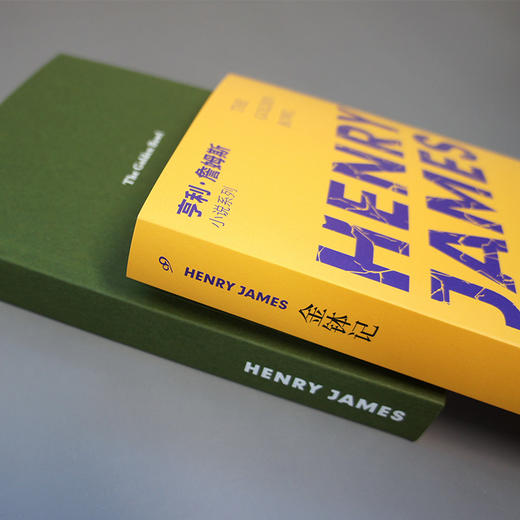 金钵记 亨利詹姆斯小说系列长篇小说三部曲的收官之作游戏外国现当代文学经典西方心理现实主义小说西方文学书籍3000869 商品图3