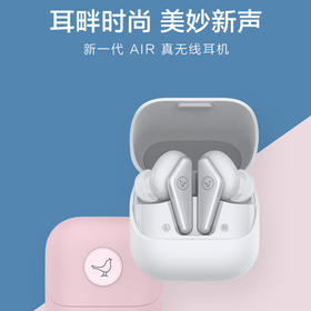 Libratone小鸟耳机 AIR第2代真无线蓝牙耳机入耳运动耳机耳麦适用苹果华为安卓