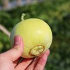 正宗马连庄小甜瓜    3/4斤 商品缩略图14