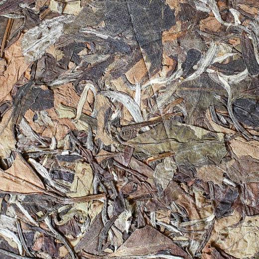 清如许监制老白茶｜2015年寒露老寿眉 350克 商品图2