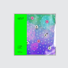 AFDT唱片画『毛发纪念册4』▏10寸