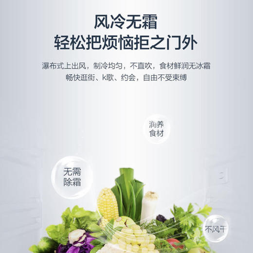 海尔（Haier）冰箱BCD-252WXPS 商品图9