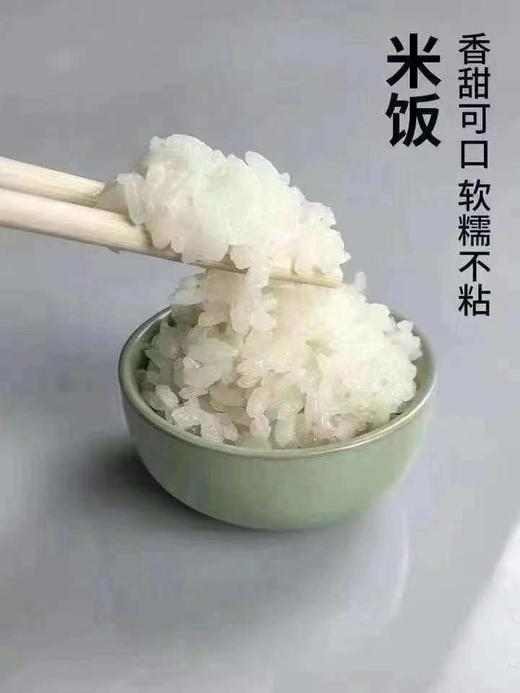 周五取货：【南粳香米（崇明大米）】崇明岛是生态岛，崇明香米，软糯香，熬粥黏稠，一袋10斤！ 商品图1