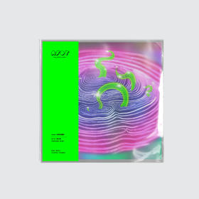 AFDT唱片画『毛发纪念册5』▏10寸