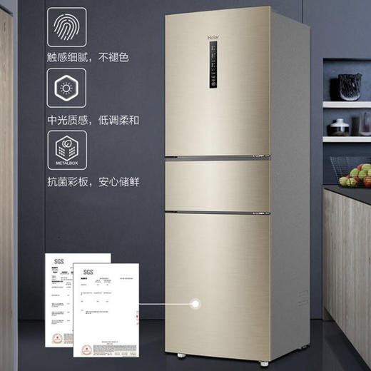 海尔（Haier）冰箱BCD-252WXPS 商品图2