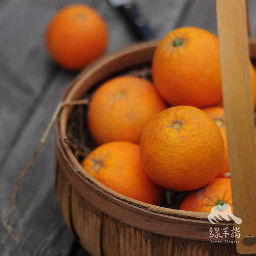 生态伦晚橙 | 合作生产 *Eco-Aaron Later Orange | Coproduction 商品图4