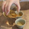 清如许监制老白茶｜2015年寒露老寿眉 350克 商品缩略图5