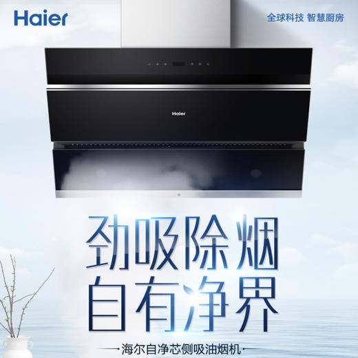 海尔（Haier）烟机CXW-219-C3J03 商品图0