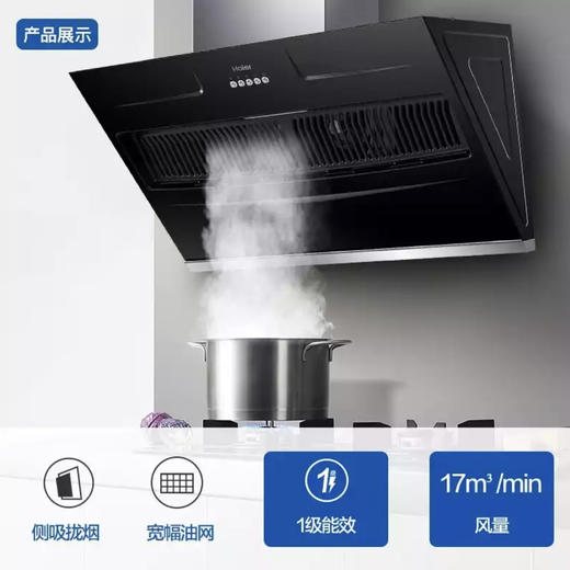 海尔（Haier）烟机CXW-219-E900C2 商品图2