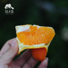 生态伦晚橙 | 合作生产 *Eco-Aaron Later Orange | Coproduction 商品缩略图3