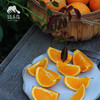 生态伦晚橙 | 合作生产 *Eco-Aaron Later Orange | Coproduction 商品缩略图1