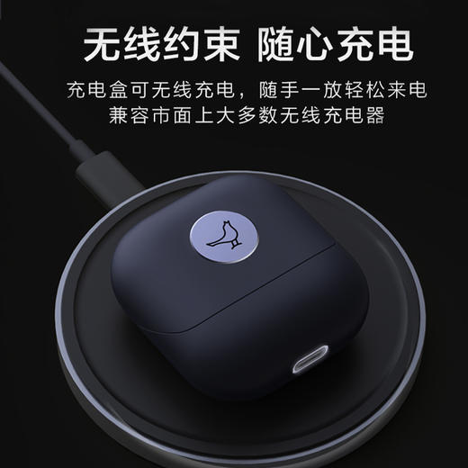 Libratone小鸟耳机 AIR第2代真无线蓝牙耳机入耳运动耳机耳麦适用苹果华为安卓 商品图1