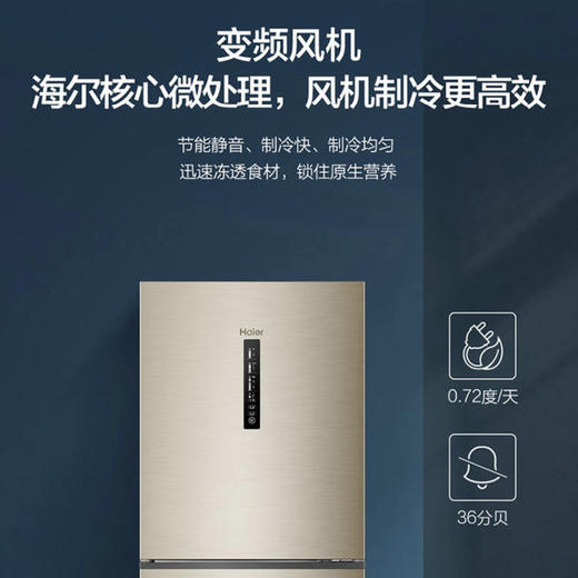 海尔（Haier）冰箱BCD-252WXPS 商品图5