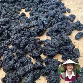 看看不用农药，化肥，除草剂的生态【桑葚】 