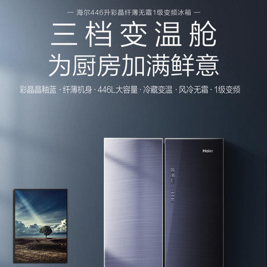 海尔（Haier）冰箱BCD-446WBCK 商品图1