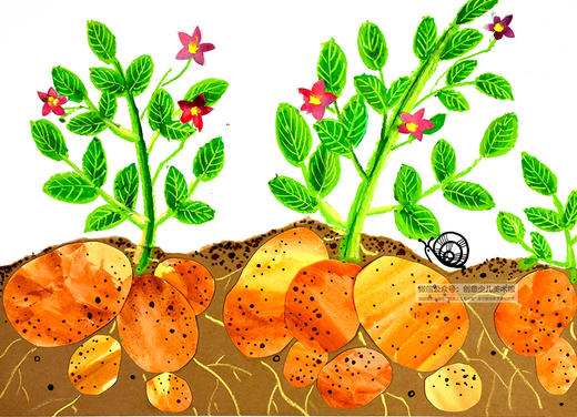 《土豆大丰收》【自动发货：下单后，点击手机短信中收到的链接，即可获取文件下载的链接；如有任何问题，可添加客服微信hm33268获得帮助】
 商品图0