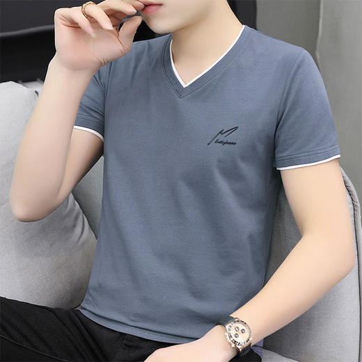 TZW-95棉夏季男士短袖t恤男装立领半袖POLO衫 商品图5