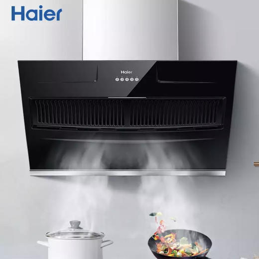 海尔（Haier）烟机CXW-219-E900C2 商品图0