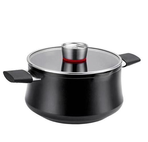 三禾2021新品汤锅LT22P1 商品图0