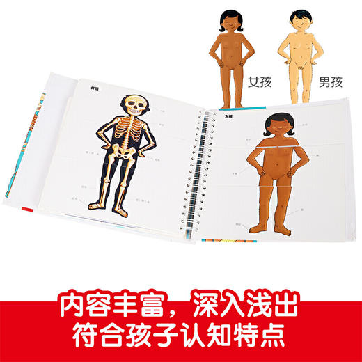 【正版】我们的身体 性教育不尴尬 解锁N种阅读方式 商品图5