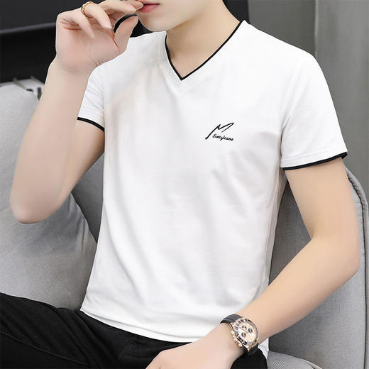 TZW-95棉夏季男士短袖t恤男装立领半袖POLO衫 商品图3