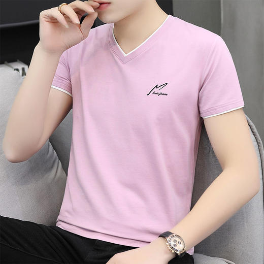 TZW-95棉夏季男士短袖t恤男装立领半袖POLO衫 商品图2