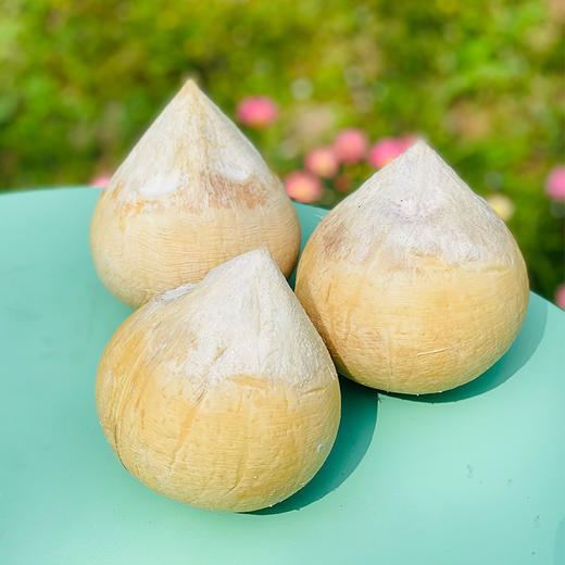 新鲜椰皇到啦，最大颗粒，打开一汪清泉，都溢出来了，挂在树上的天然饮品，喝一口，香甜到心底，补充电解质，补水神器~ 商品图2