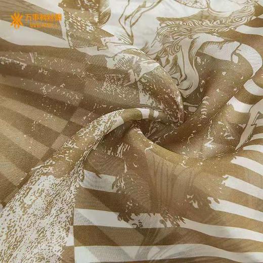 真丝沙滩巾 极光 商品图3