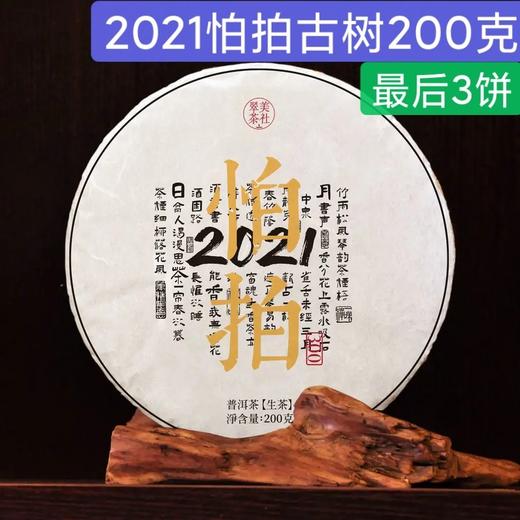 2021【帕拍】沧源神秘小产区-2021头春古树纯料 商品图0