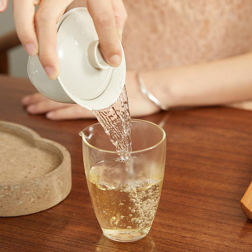 家天下丨 2021年 老树白毫银针 50g*6包 商品图4