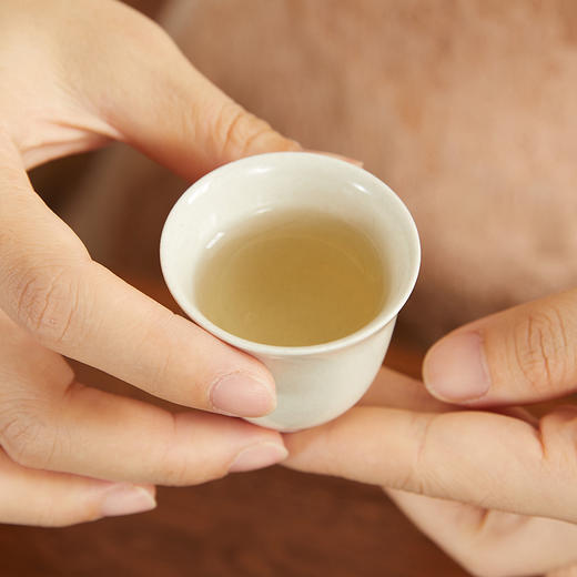 家天下丨 2021年 老树白毫银针 50g*6包 商品图7