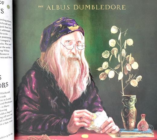 【中商原版】哈利波特 魔法史之旅 英文原版 Harry Potter: A Journey Through A History of Magic JK罗琳 魔法世界 商品图7