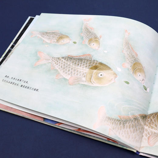 乌篷船和老花镜 商品图2