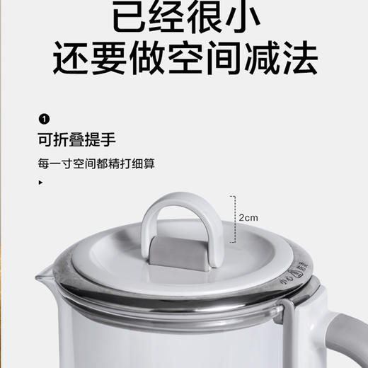 北鼎mini养生壶办公室多功能小型煮茶器迷你便携烧水壶花茶壶K31 商品图0