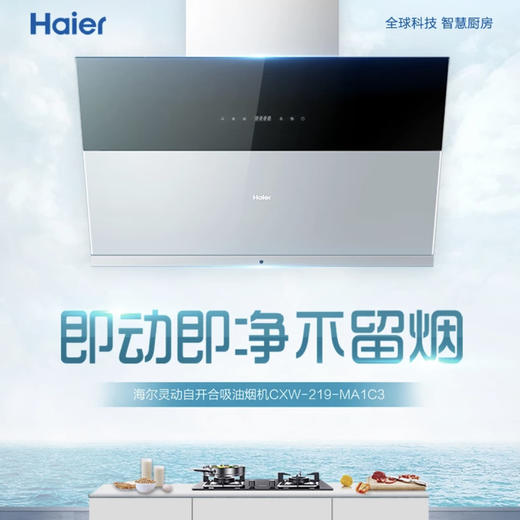 海尔（Haier）烟机CXW-219-MA1C3 商品图0